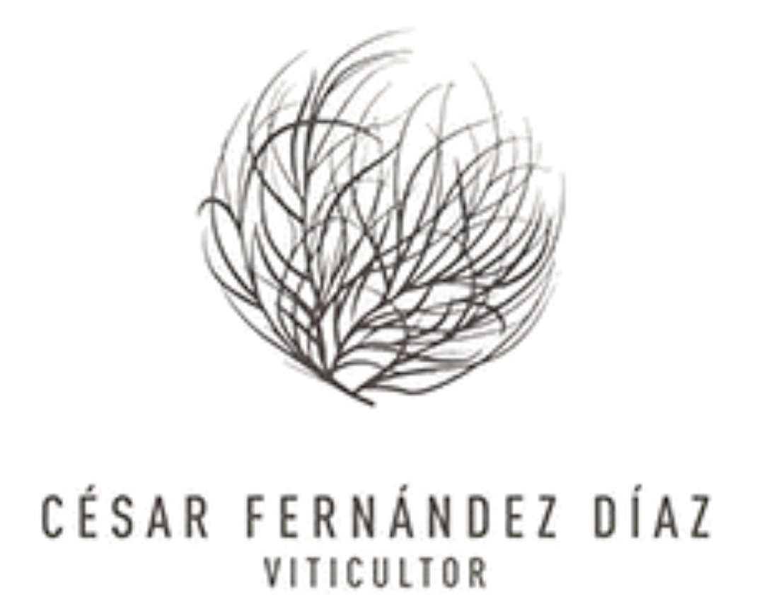 César Fernández Díaz